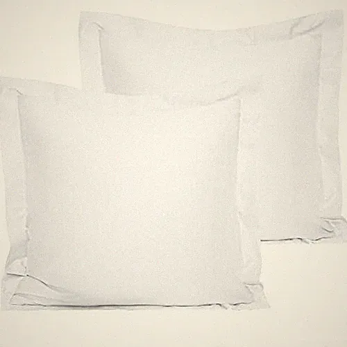 NTBAY 2 Pack 500 Thread Count 100% Egyptian Cotton Euro Pillow Shams, Super Soft