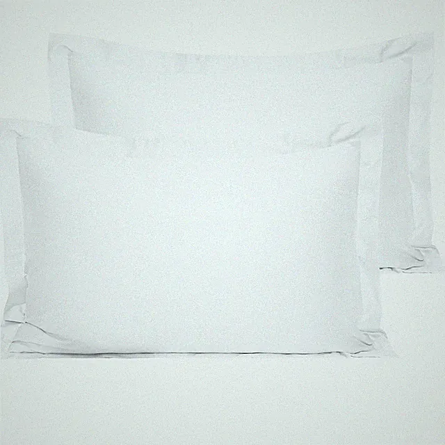 NTBAY Cotton Queen Pillow Shams - 500 Thread 30" x 20" (Pack of 2), White